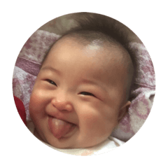inui_20181230084041