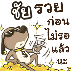 Name Chai (Cute Dog)