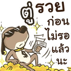 Name Tu (Cute Dog)