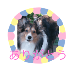 king_20181230104744