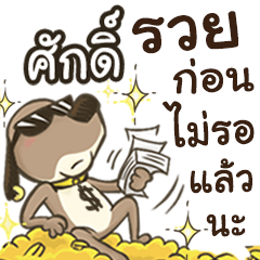 Name Sak (Cute Dog)