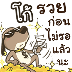 Name Kao (Cute Dog)