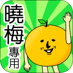 【曉梅】專用 名字貼圖 橘子