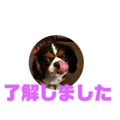 Yama_20190101160244