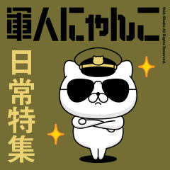 Military cat 11 (everyday)