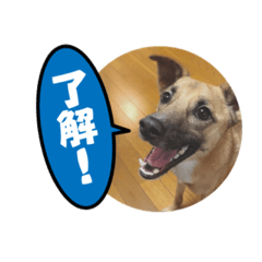 naka_20190101221704