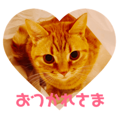 iku_20190101145813