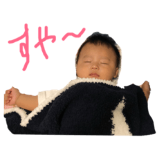 junjun_2019010210