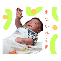 midori_20181230212629