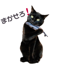 Black cat "Ozukun"