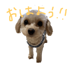kanako_20190102181534