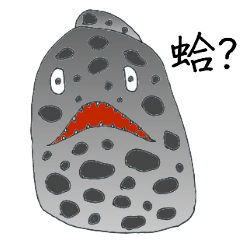 高雄澄清湖海洋生物