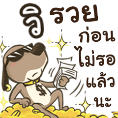 Name Vi (Cute Dog)