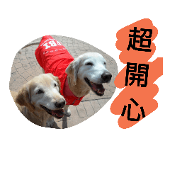 寶貝歐元美金 part 2
