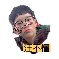 汪Q