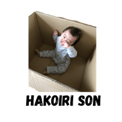 Hakoiri son