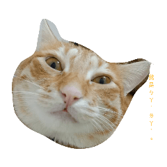 我是ㄅㄚˊㄌㄚˋ