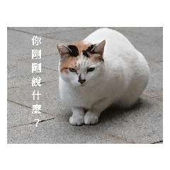 不實用的貼圖