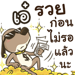 Name Aee (Cute Dog)