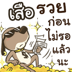 Name suea (Cute Dog)