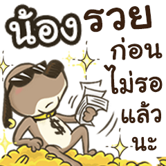 Name NONG (Cute Dog)