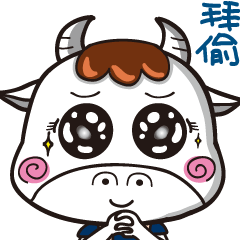 The Cute Cow chat with you