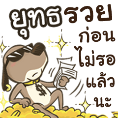 Name Yut (Cute Dog)