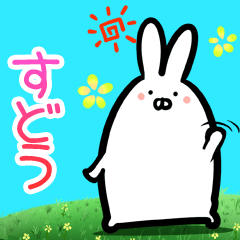 Sudou every day rabbit