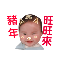 Baby NingNing(Happy year of the pig)