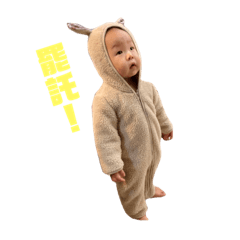 小夏的世界