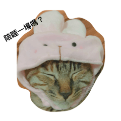 我要當可愛的貓