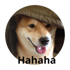 庫瑪好像河馬～