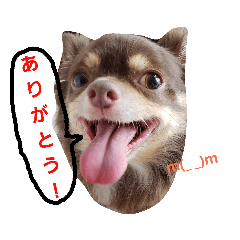 JUNKO_20181231104354