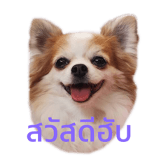 BOO&KO – LINE stickers | LINE STORE