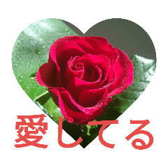 Chiu Chien Wei_20190105193937.rose