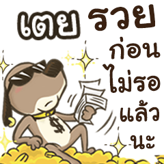 Name Toey (Cute Dog)