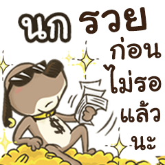 Name Nok (Cute Dog)