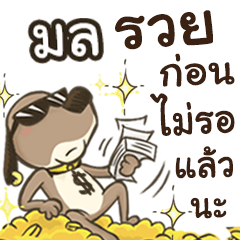 Name Mon (Cute Dog)