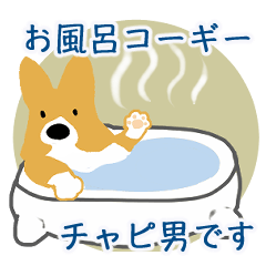 Corgi in the bath