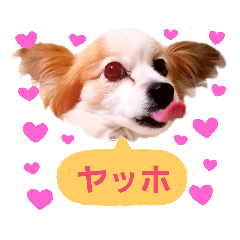 yukari_20190103000510