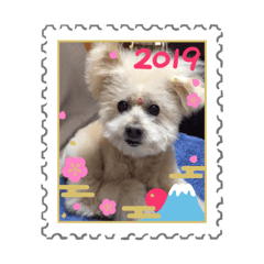 Alice_20190102235756