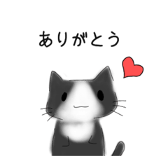 Cat_Thank you!