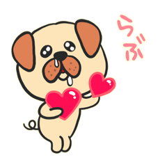 funny cute dog tobi
