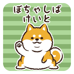 ぽちゃしば けいと Line スタンプ Line Store