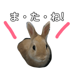 mimi 3333
