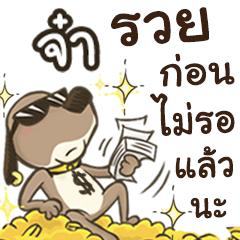 Name Ja (Cute Dog)