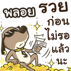 Name PLOY (Cute Dog)
