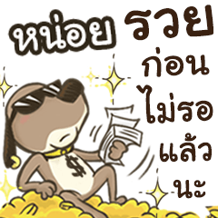 Name NOI (Cute Dog)