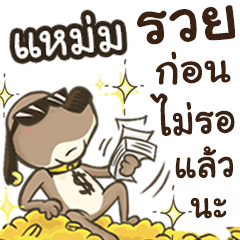 Name MAEM (Cute Dog)