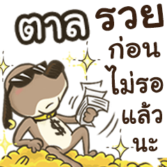 Name TAN (Cute Dog)